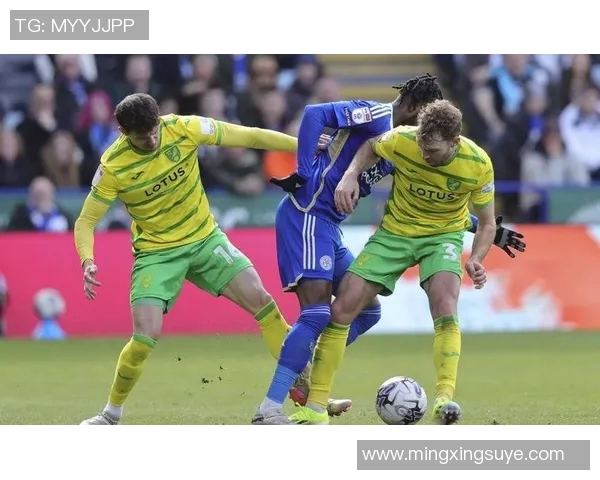 谢菲尔德与诺维奇的激烈对决谁能在赛场上笑到最后